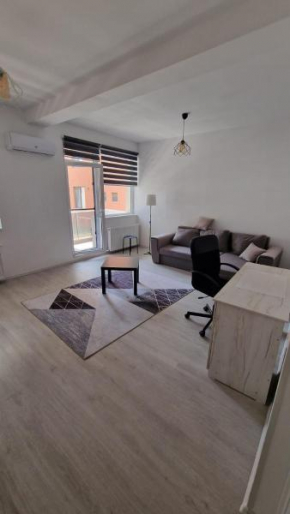 Lovely 1 bedroom flat with free parking Safirului Street